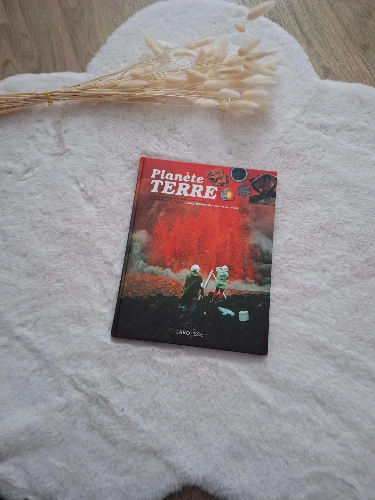 📚 planète terre l'encyclopédie des jeunes Larousse
